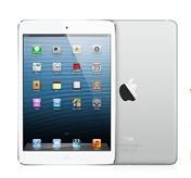iPad mini 64GB Wi-Fi + Cellular